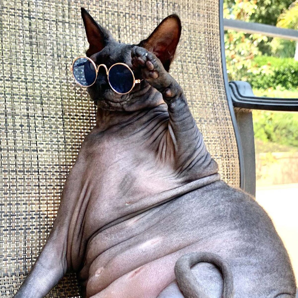    Фото: Legion-Media