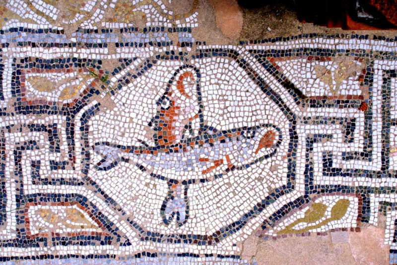 Рыбы: символ древнего христианства. Согласно Звездного Евангелия имеют сакральное значение, указывающее на спасение. Орнаменты с рыбами найдены в самых древних христианских храмах по всему миру.