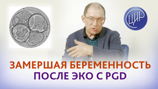 Замершая беременность после ЭКО с PGD. Сдавать ли эмбрион на молекулярно-генетическую диагностику?