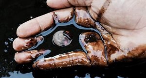    Фото: profile.ru Екатерина Колесова