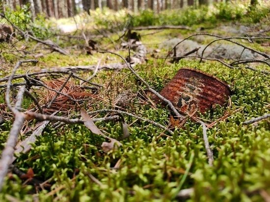     Фото корреспондента "МК в Пскове"