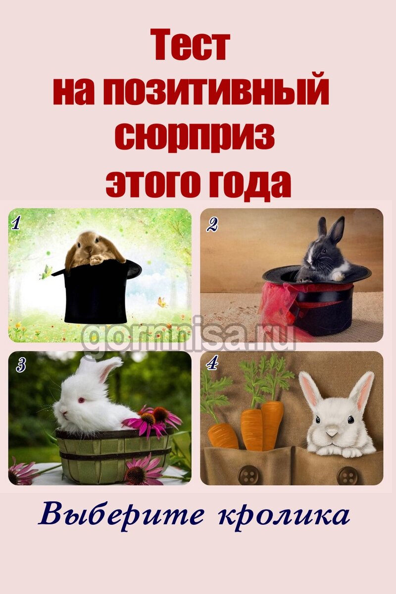    Тест на позитивный сюрприз этого года Pavlov A