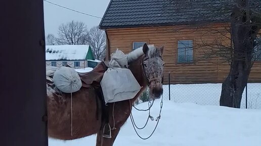 Сделано в дебрях | Лошадь не привязана, сама ждет за дверью | Дзен