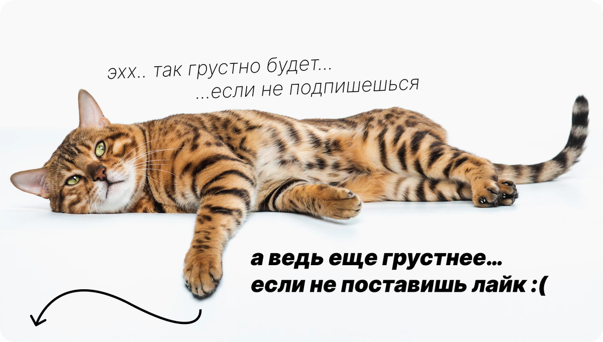 Добавьте описание