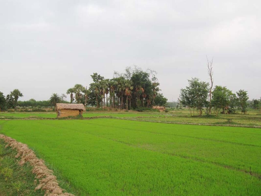 Участок под застройку. Фото 1.