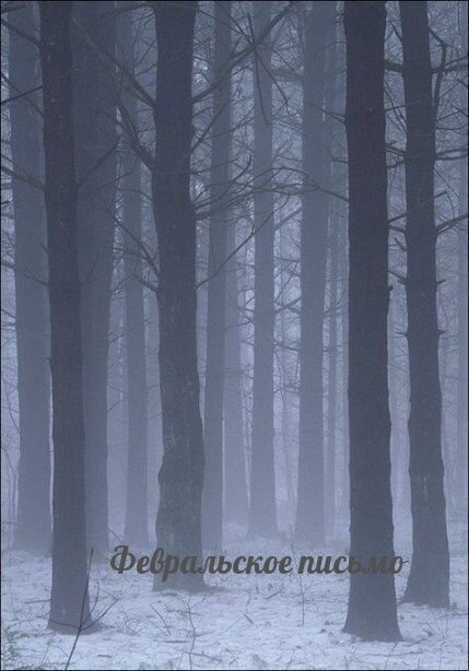 Обложка к прозе