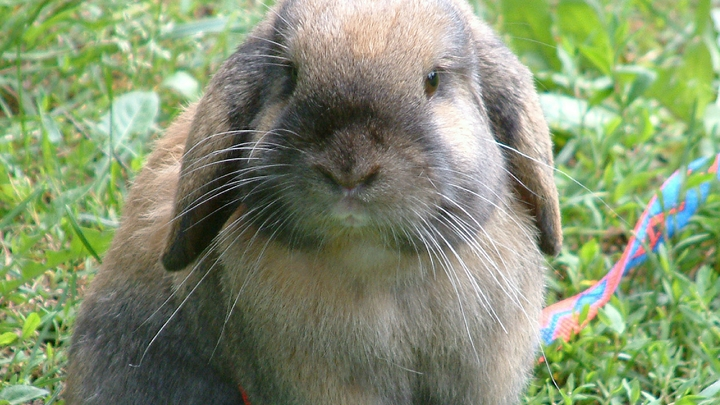 ВИКТОР ЛИСИЦЫН/GLOBAL LOOK PRESS