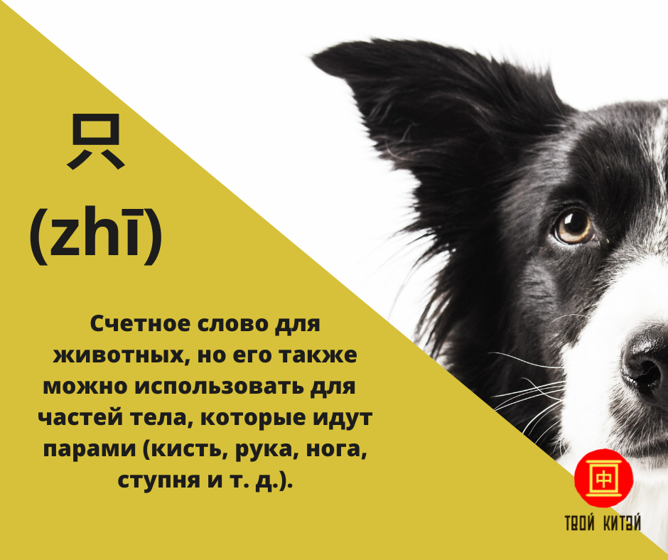 💛Сегодня поговорим о самых частых счетных словах в китайском языке💛 ...