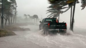    Фото Pixabay Анастасия Волова