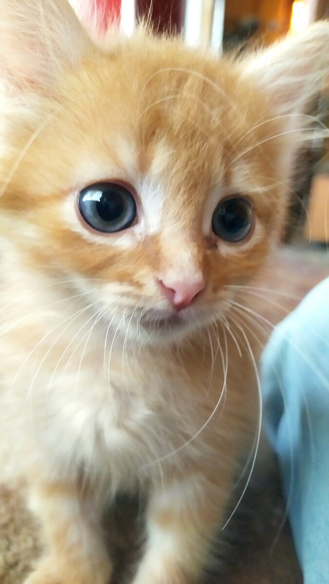 А эти глазки... 