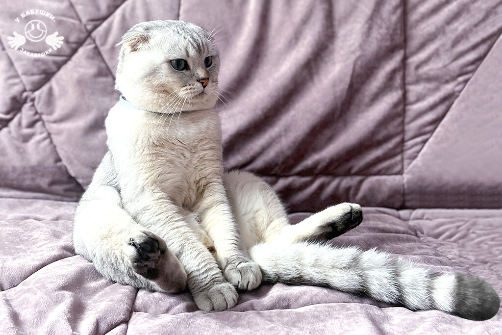 Надо быть в курсе новостей (фото автора)