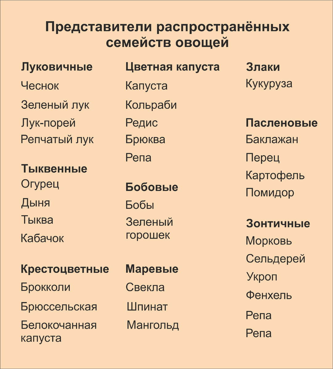 Как правильно расположить грядки?