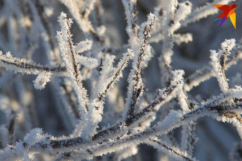     Рекомендуется воздержаться от выхода на природу. Василий Вахрин