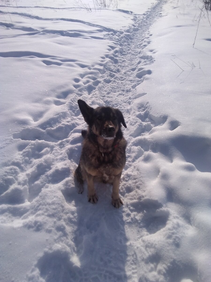 Фото автора. 