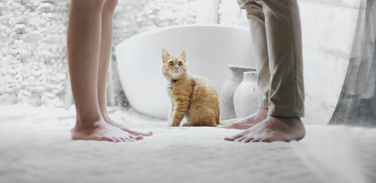 Hutomo Abrianto/Unsplash