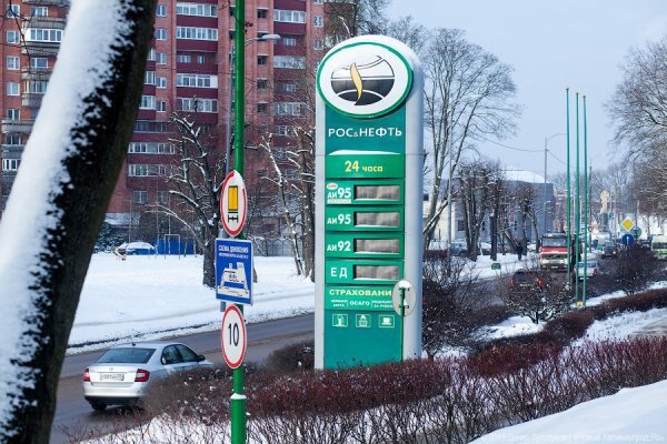 Фото: Виталий Невар / Новый Калининград
