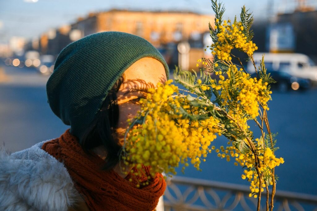 Мимоза жёлтые нарциссы