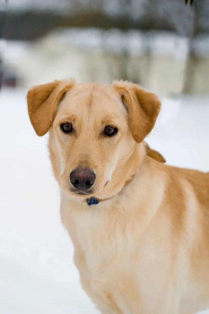 Милый мальчик, который стал не нужен