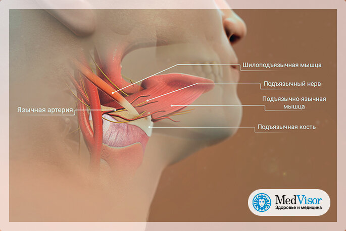 Почему после киви болит язык: основные причины и способы предотвращения