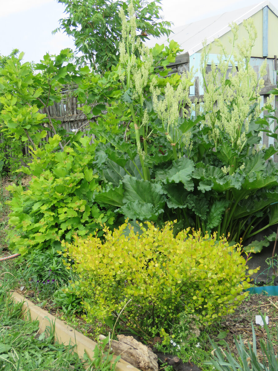 фото старое