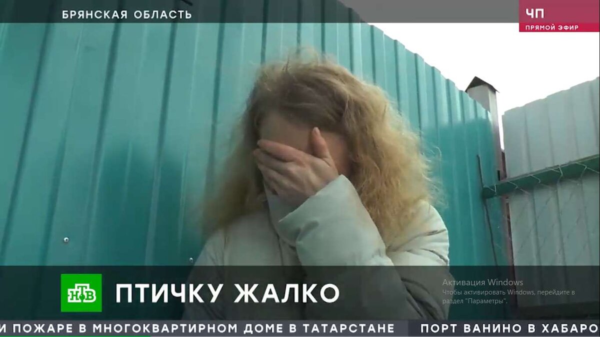   В Новозыбкове огромная собака загрызла страуса avchernov