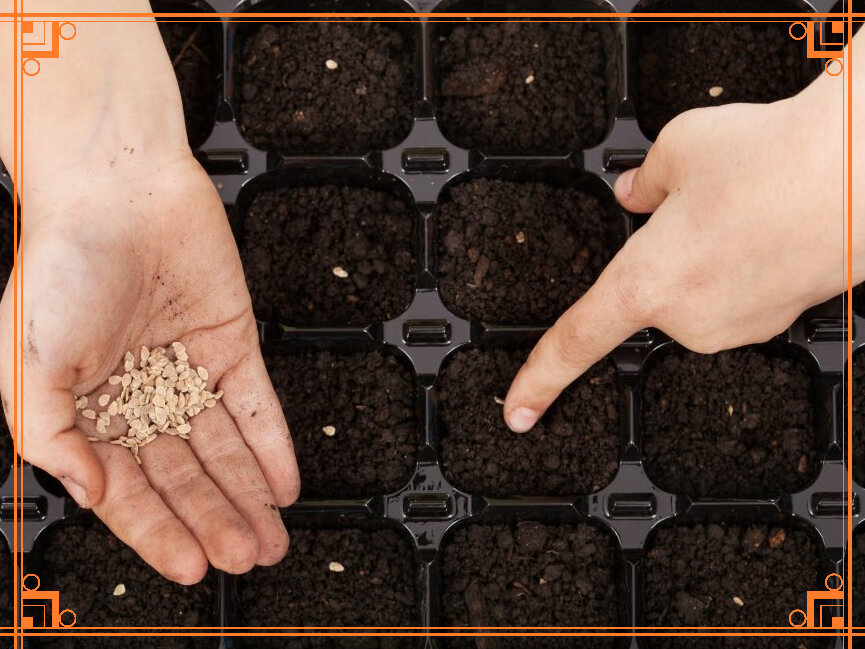 Фото из Интернета 