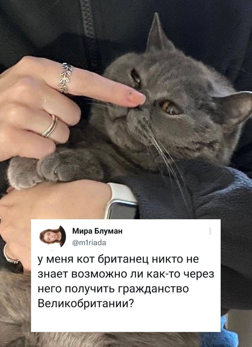 А вы значли что такое кол-во стран предоставляют гражданство?