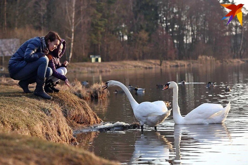     По данным Белстата, 54,4% женщин назвали белорусский язык родным языком. Павел МАРТИНЧИК