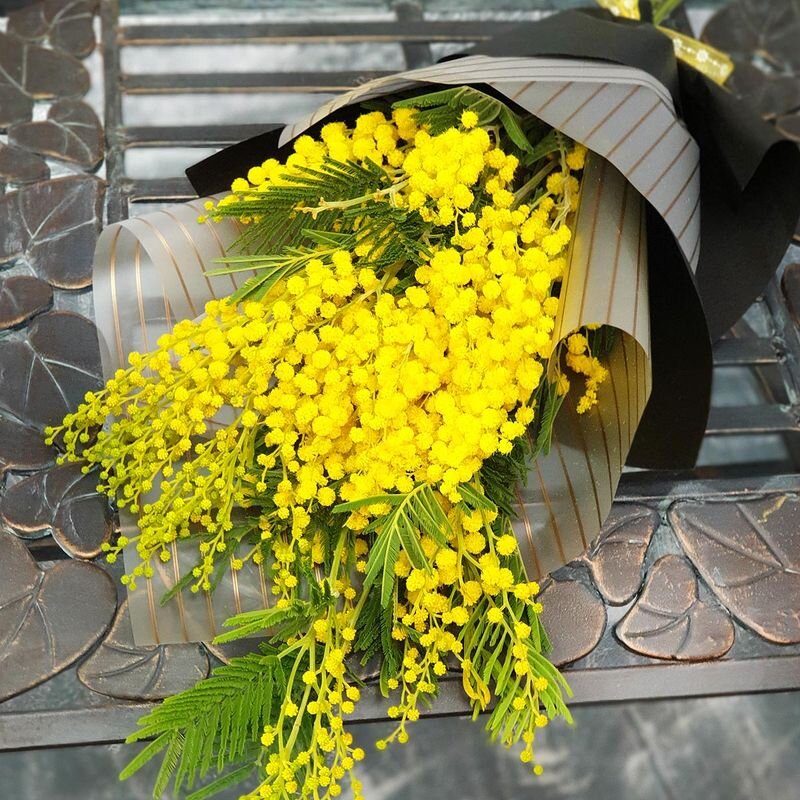 Фото из интернета