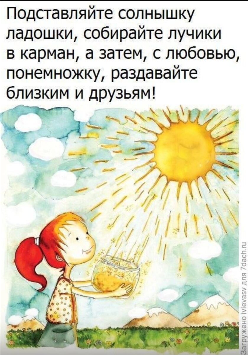 Маленькие радости с утра