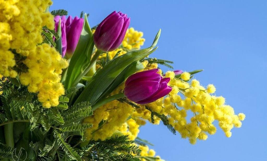 Фото из сети