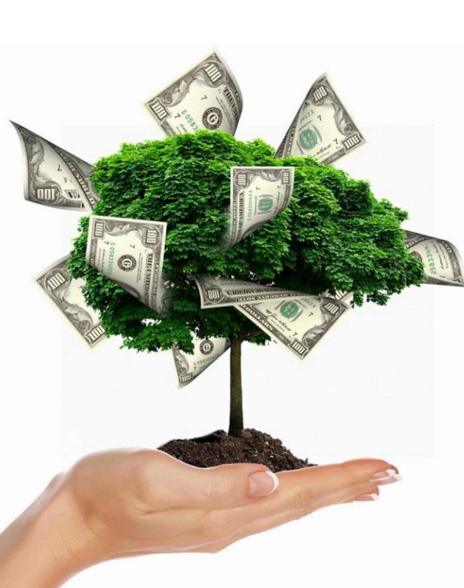 Рис.2 прогнозируемая экономика.