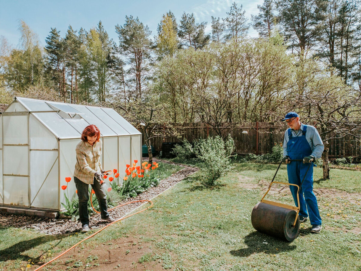 готовим участок под газон.