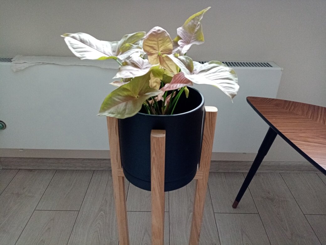 Зато со стороны - всё хорошо, прекрасная маркиза. Вполне достойно и эстетично. Фото автора.