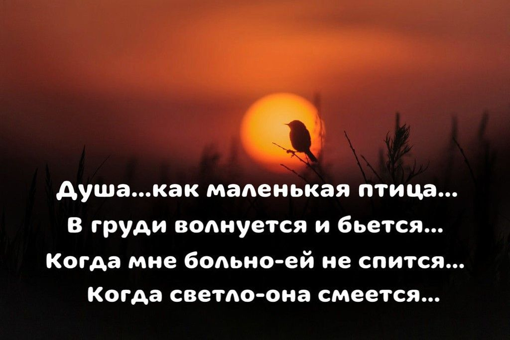 Отдала бывшему всю душу. Родственные души цитаты афоризмы. Афоризмы про родственные души. Душа как маленькая птица. По настоящему лечит душу только близкий человек.