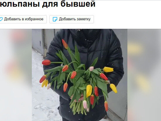     ФОТО СКРИНШОТ АВИТО
