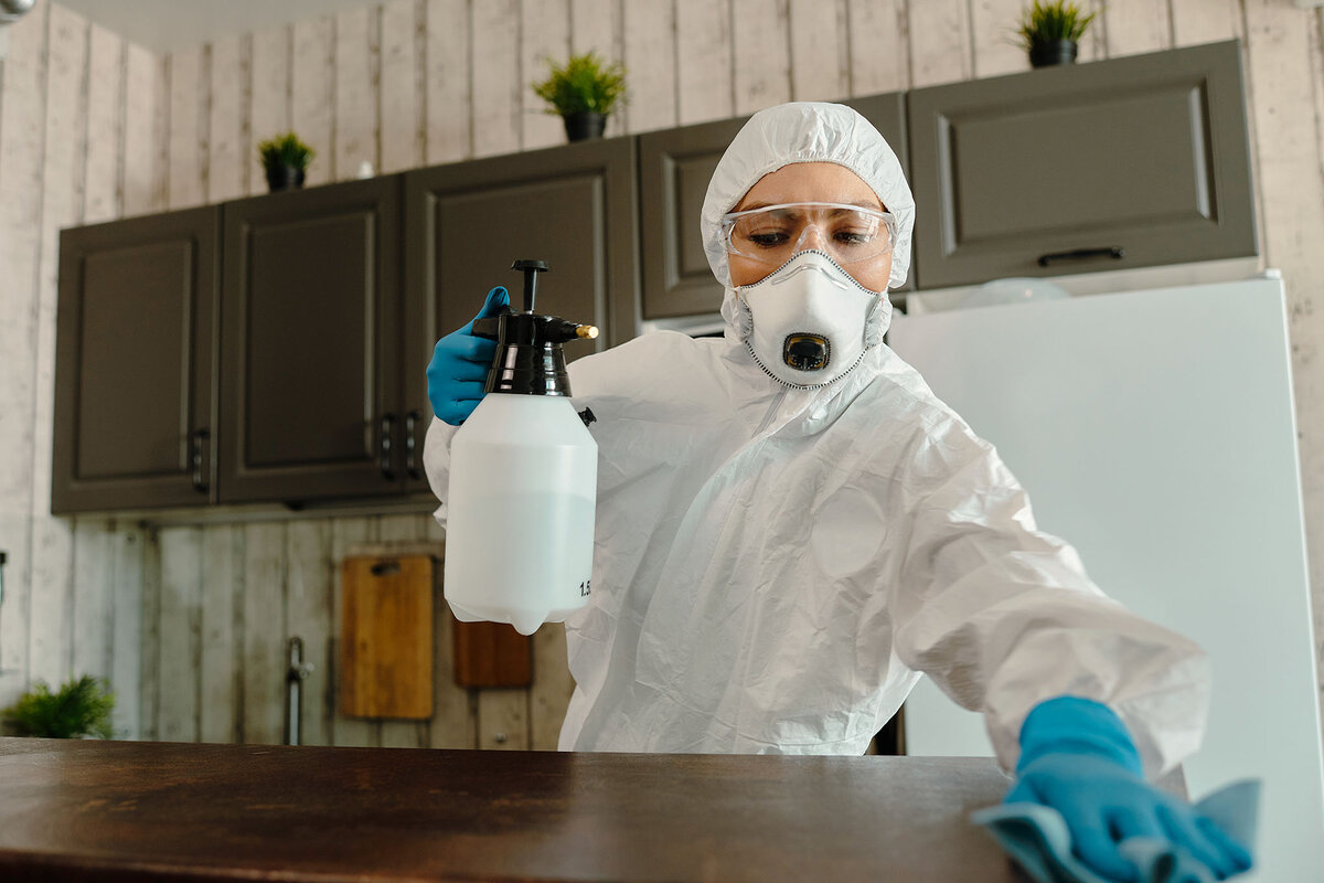    Компания оказывает эффективную помощь в борьбе с насекомыми, грызунами и болезнетворными микроорганизмами.Фото: pexels.com