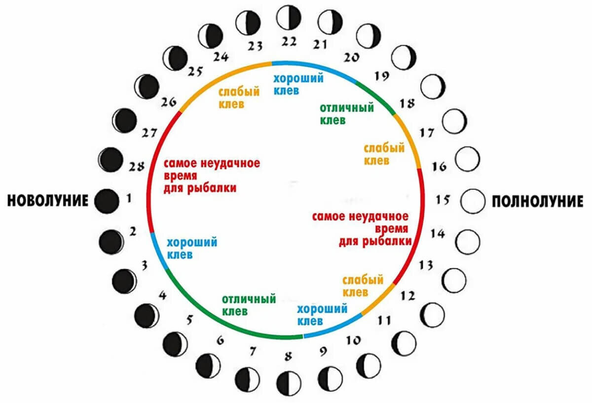 Лунный рыболовный календарь. | Приключения со мной. | Дзен