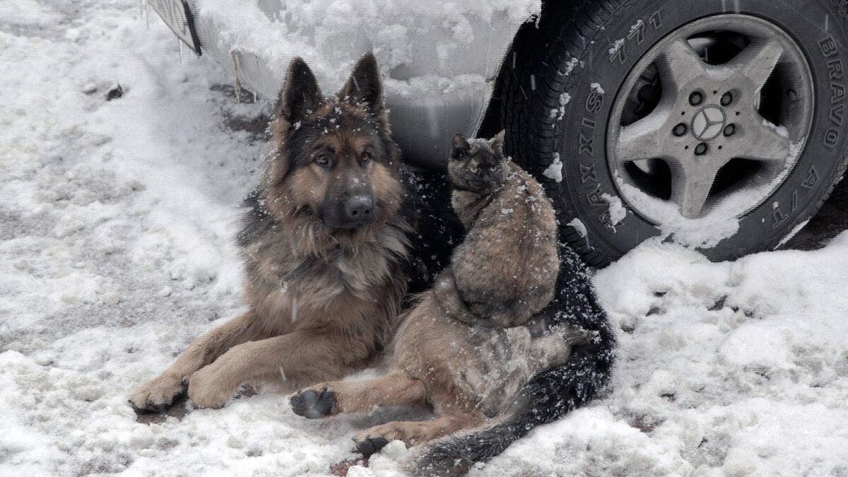 источник фото: cstor.nn2.ru