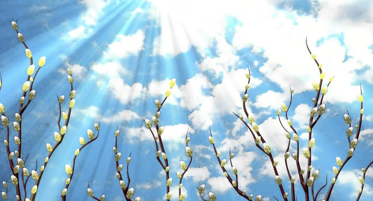 Картинки Яндекс