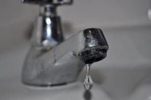    Фото: oliver phillips / flickr.com Ирина Кипшидзе