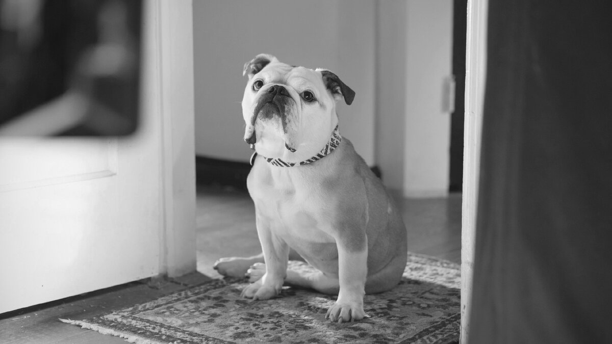 Кадр из фильма "Патерсон"