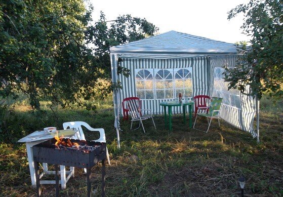 Фотография автора