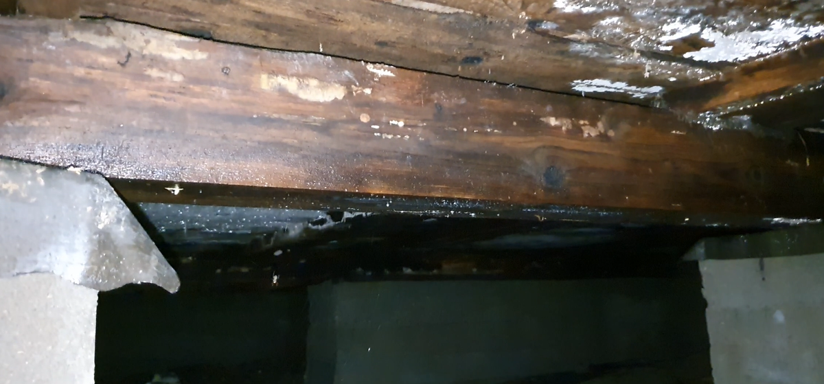 Везде вода, куча воды.