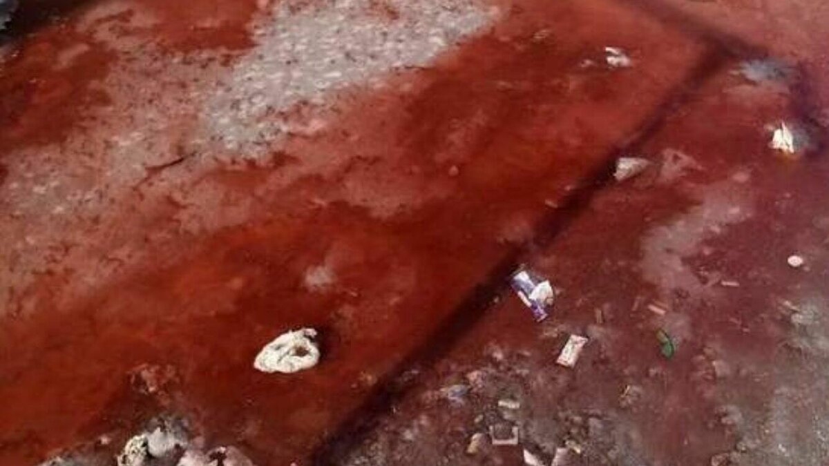     В селе Мухоршибирь вдоль домов потекла вода красного цвета. Власти изучают ее состав, но пока не могут ответить, что в ней содержится.