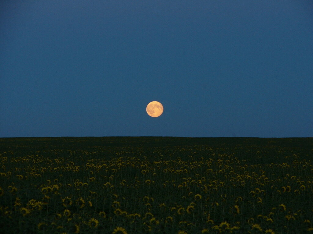 Луна над полями