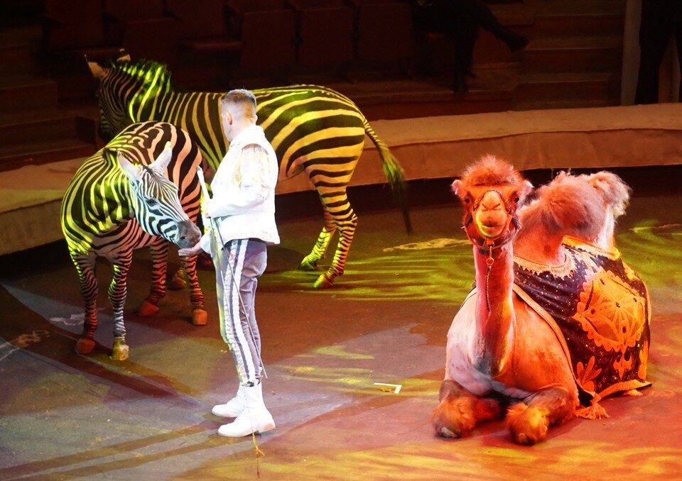     . Татьяна ПОДЪЯБЛОНСКАЯ