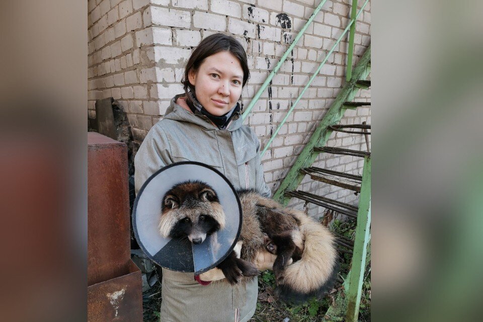     Создательница Центра реабилитации животных «Большое гнездо» Гузель Зарипова