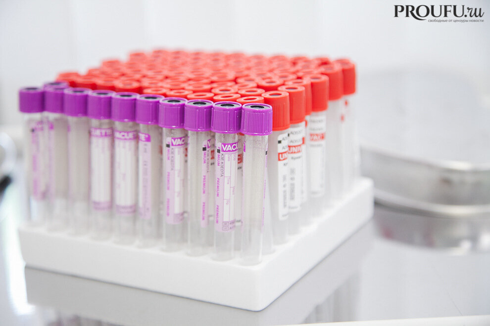    Фото: Пруфы.рф