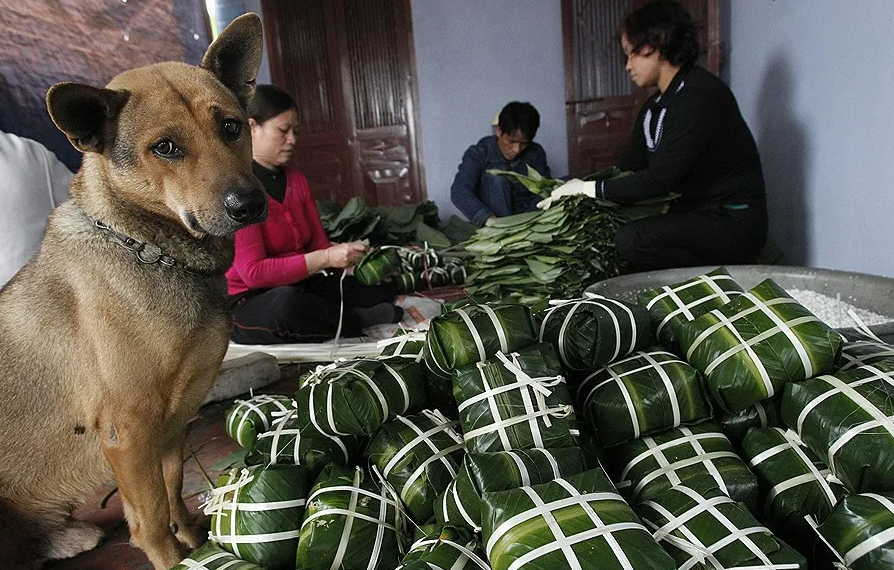 Какая полезная собачка